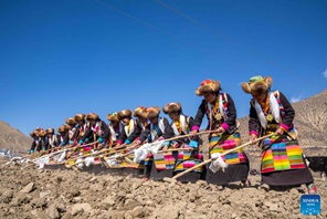 Sherehe za kuashiria kuanza kwa kilimo cha majira ya mchipuko zafanyika Mkoa wa Xizang, China