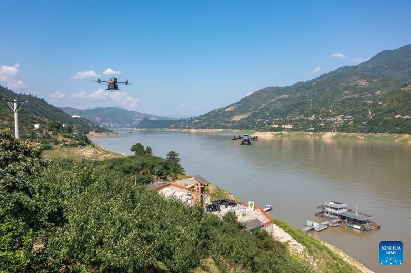 Droni za kubeba mizigo na ndege maalumu zatumika katika usafirishaji wa matunda ya plamu huko Chongqing, China