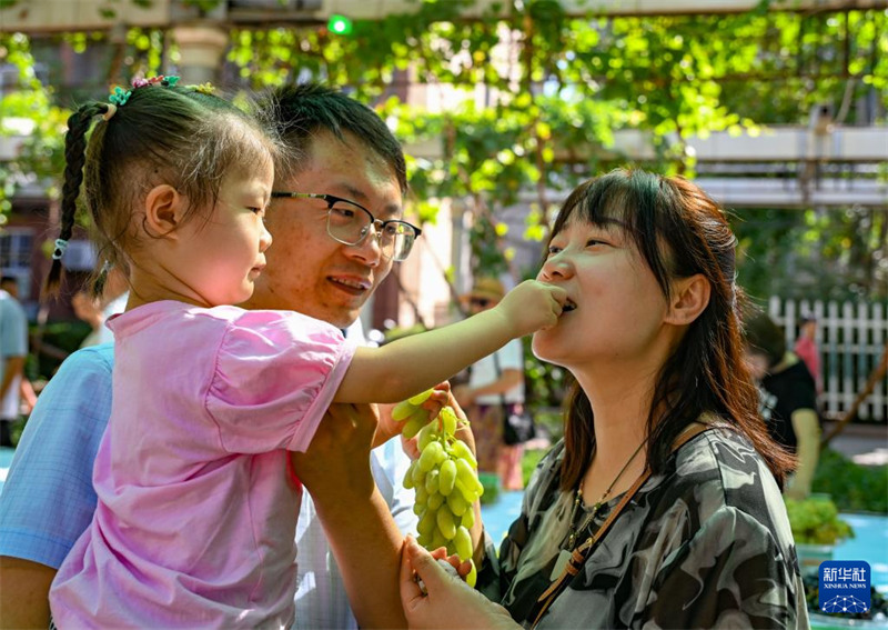 Zabibu Zavutia Wageni huko Turpan, Mkoa Unaojiendesha wa Xinjiang, China